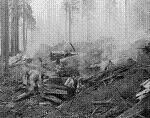 Slash burning research, Redwood Experimental Forest